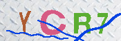 CAPTCHA 驗證圖片