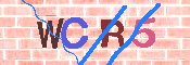 CAPTCHA 驗證圖片