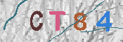 CAPTCHA 驗證圖片