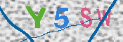 CAPTCHA 驗證圖片