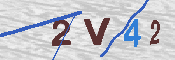 CAPTCHA 驗證圖片