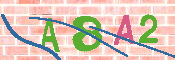 CAPTCHA 驗證圖片
