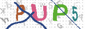 CAPTCHA 驗證圖片