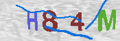 CAPTCHA 驗證圖片