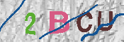 CAPTCHA 驗證圖片