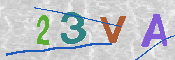 CAPTCHA 驗證圖片