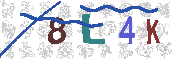 CAPTCHA 驗證圖片