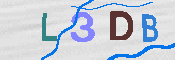 CAPTCHA 驗證圖片