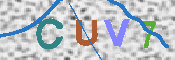 CAPTCHA 驗證圖片
