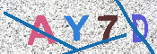 CAPTCHA 驗證圖片