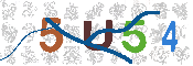 CAPTCHA 驗證圖片