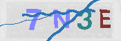 CAPTCHA 驗證圖片