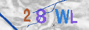 CAPTCHA 驗證圖片