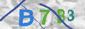 CAPTCHA 驗證圖片