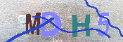 CAPTCHA 驗證圖片