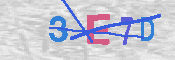CAPTCHA 驗證圖片
