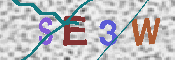 CAPTCHA 驗證圖片