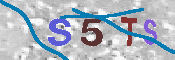 CAPTCHA 驗證圖片