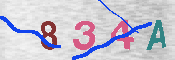 CAPTCHA 驗證圖片