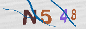 CAPTCHA 驗證圖片