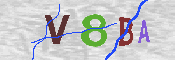 CAPTCHA 驗證圖片