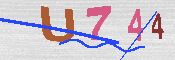CAPTCHA 驗證圖片