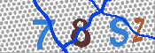 CAPTCHA 驗證圖片