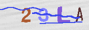 CAPTCHA 驗證圖片