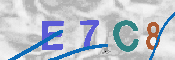 CAPTCHA 驗證圖片