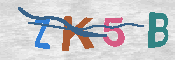 CAPTCHA 驗證圖片