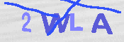 CAPTCHA 驗證圖片