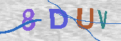 CAPTCHA 驗證圖片