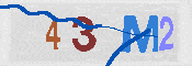 CAPTCHA 驗證圖片
