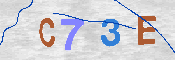 CAPTCHA 驗證圖片
