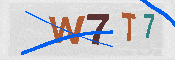 CAPTCHA 驗證圖片