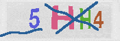 CAPTCHA 驗證圖片