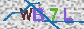 CAPTCHA 驗證圖片
