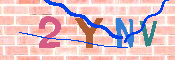 CAPTCHA 驗證圖片