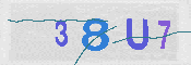 CAPTCHA 驗證圖片