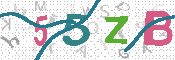 CAPTCHA 驗證圖片