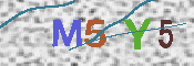 CAPTCHA 驗證圖片