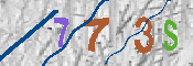 CAPTCHA 驗證圖片