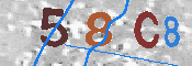 CAPTCHA 驗證圖片