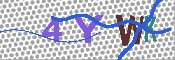 CAPTCHA 驗證圖片