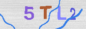 CAPTCHA 驗證圖片