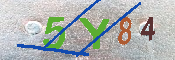 CAPTCHA 驗證圖片