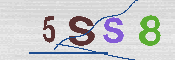 CAPTCHA 驗證圖片