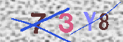 CAPTCHA 驗證圖片