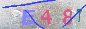 CAPTCHA 驗證圖片