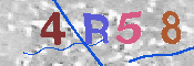 CAPTCHA 驗證圖片